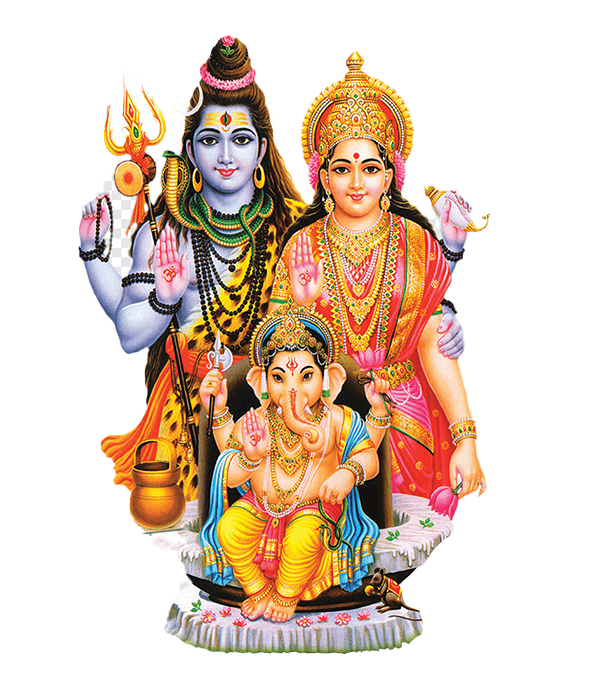 Famous Astrologer Vipin Shastri Ji